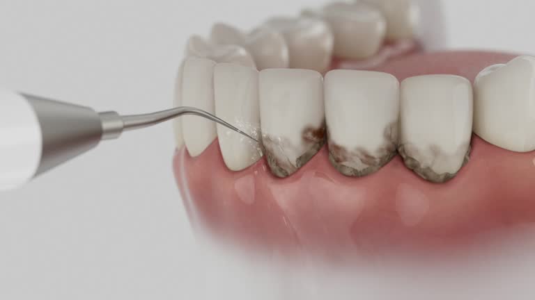 Reliable Dental contractor in Crownsville, MD by Dentist Open Now